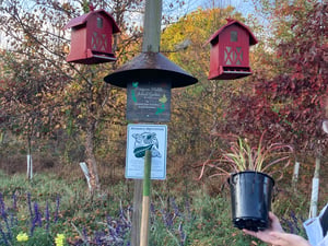 bird house